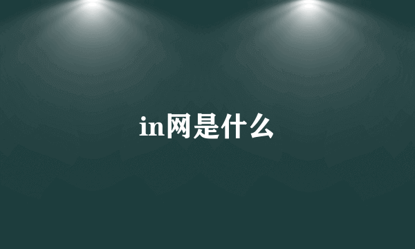 in网是什么