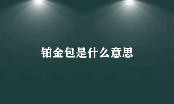 铂金包是什么意思