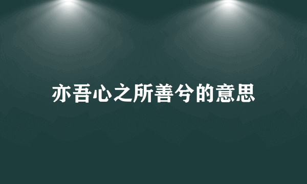 亦吾心之所善兮的意思