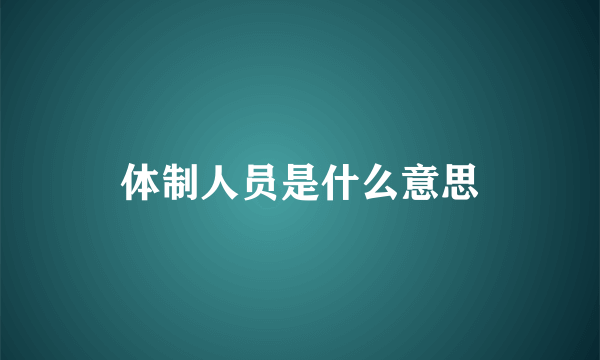 体制人员是什么意思