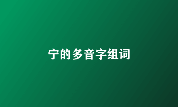 宁的多音字组词