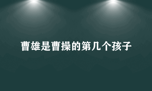 曹雄是曹操的第几个孩子