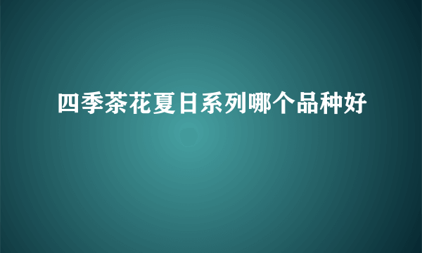 四季茶花夏日系列哪个品种好