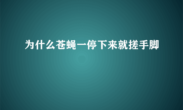 为什么苍蝇一停下来就搓手脚