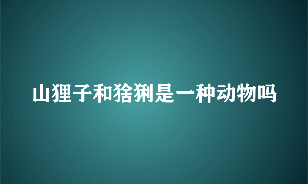 山狸子和猞猁是一种动物吗