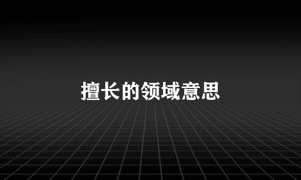 擅长的领域意思