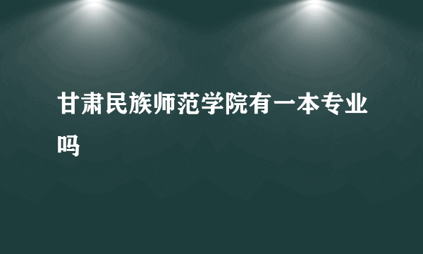 甘肃民族师范学院有一本专业吗