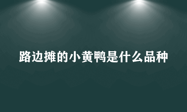 路边摊的小黄鸭是什么品种