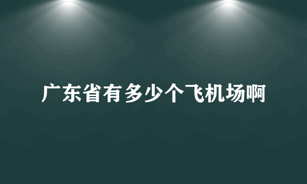 广东省有多少个飞机场啊