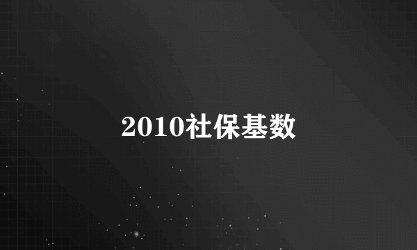 2010社保基数