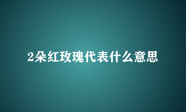 2朵红玫瑰代表什么意思