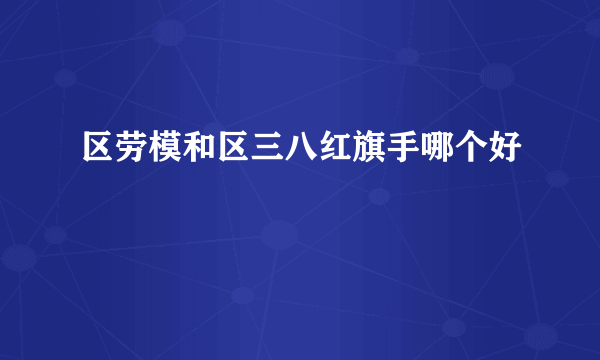 区劳模和区三八红旗手哪个好