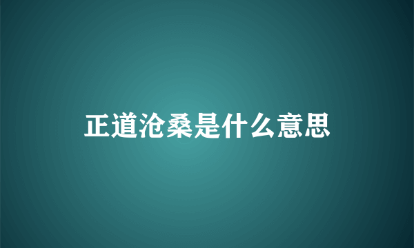 正道沧桑是什么意思