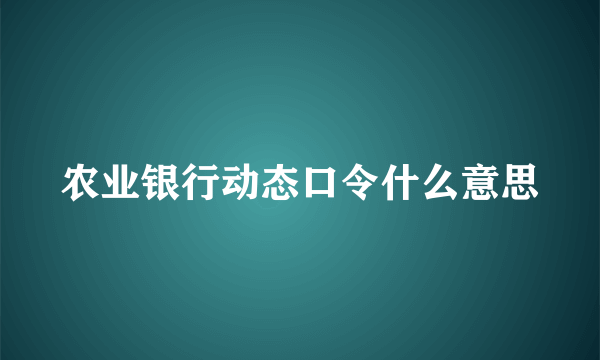 农业银行动态口令什么意思