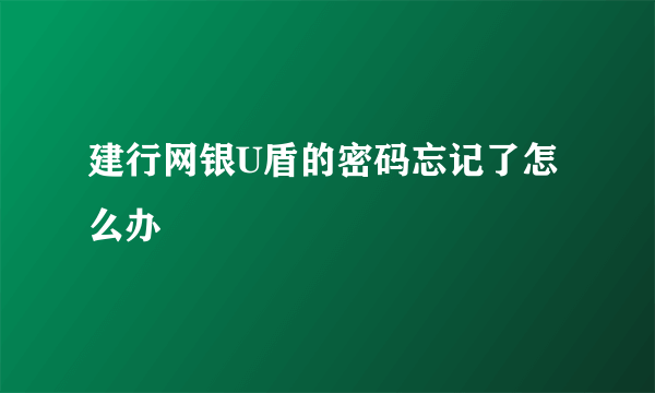 建行网银U盾的密码忘记了怎么办