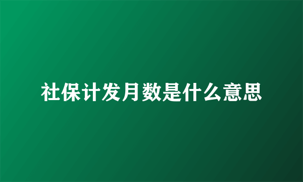 社保计发月数是什么意思