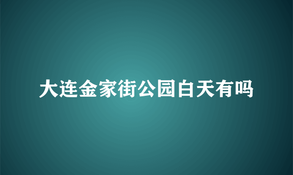 大连金家街公园白天有吗