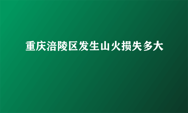 重庆涪陵区发生山火损失多大