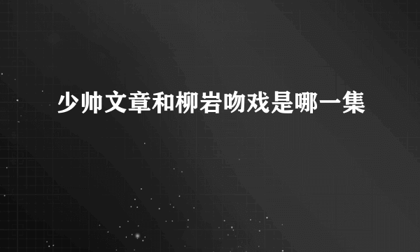 少帅文章和柳岩吻戏是哪一集