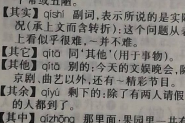 “其他”和“其现盾卷例地甲它”有什么区别?