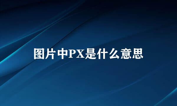 图片中PX是什么意思