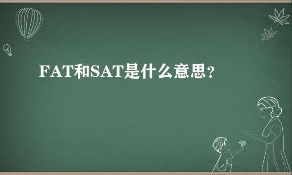 FAT和SAT是什么意思？