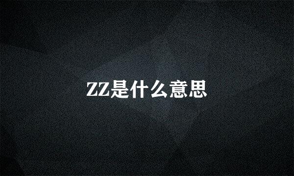 ZZ是什么意思