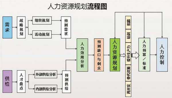 人力资源规划的内容包括哪些？