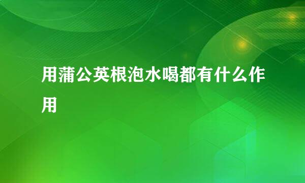 用蒲公英根泡水喝都有什么作用