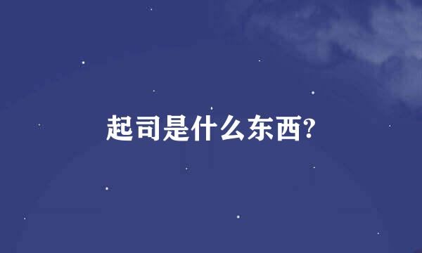 起司是什么东西?