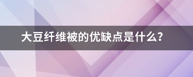 大豆纤维被的优缺点是什么？