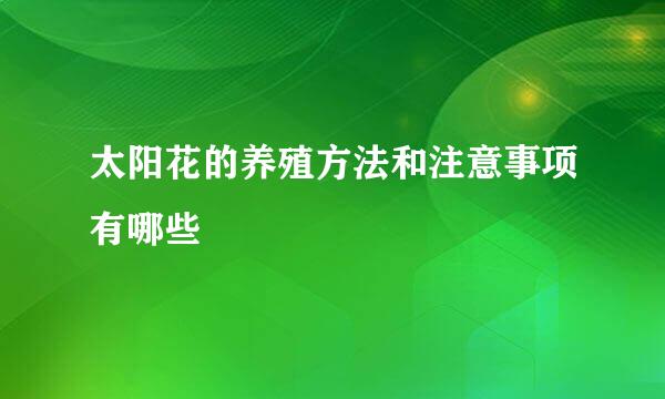 太阳花的养殖方法和注意事项有哪些