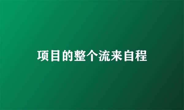 项目的整个流来自程