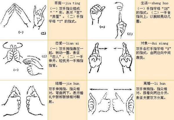 中来自国手语大全