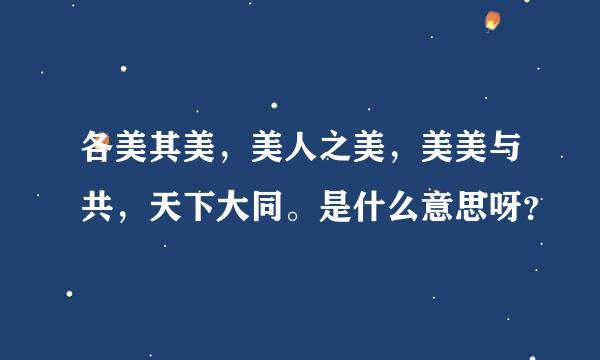 各美其美，美人之美，美美与共，天下大同。是什么意思呀？