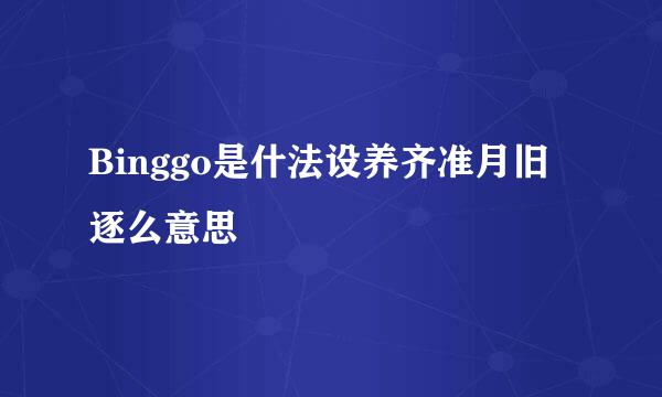 Binggo是什法设养齐准月旧逐么意思