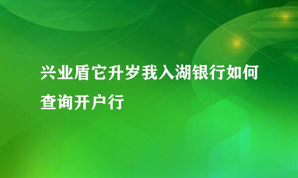 兴业盾它升岁我入湖银行如何查询开户行