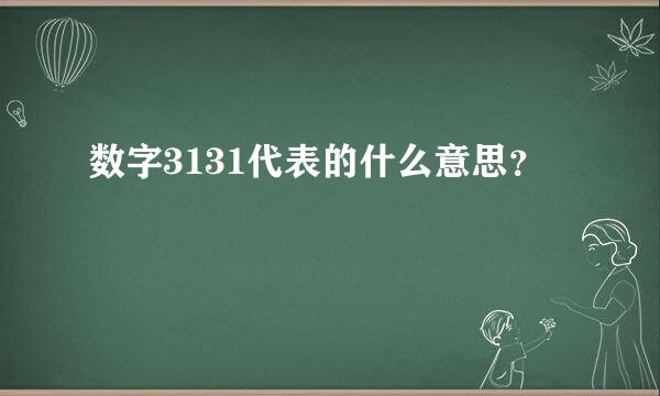 数字3131代表的什么意思？