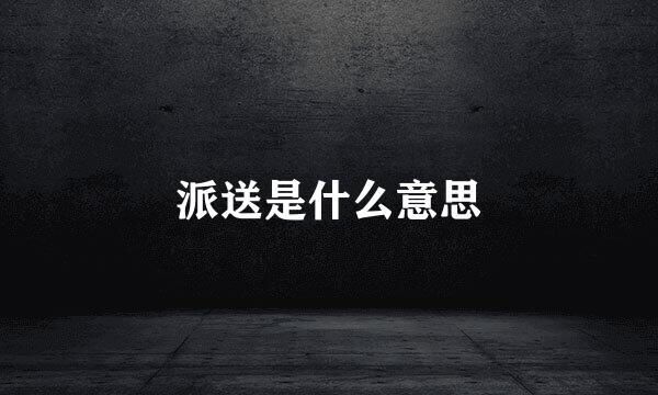 派送是什么意思