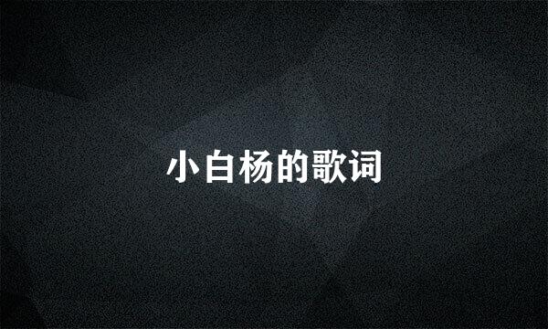 小白杨的歌词