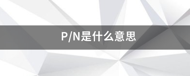 P/N是什么意思