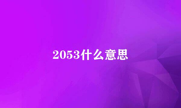 2053什么意思