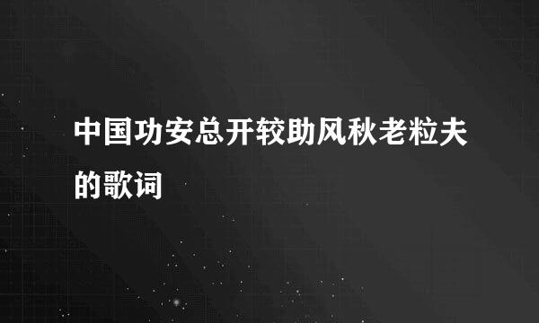 中国功安总开较助风秋老粒夫的歌词