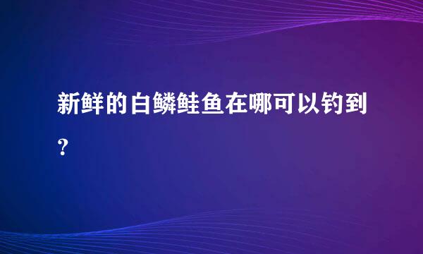 新鲜的白鳞鲑鱼在哪可以钓到？