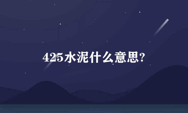 425水泥什么意思?