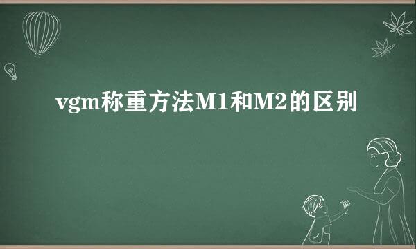 vgm称重方法M1和M2的区别