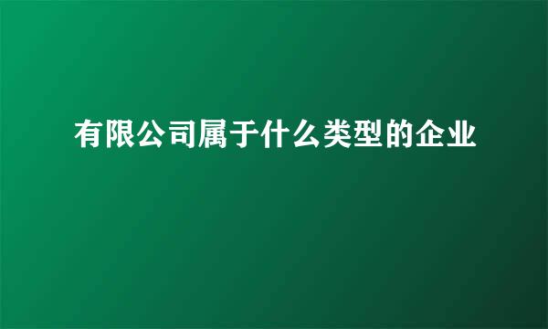 有限公司属于什么类型的企业