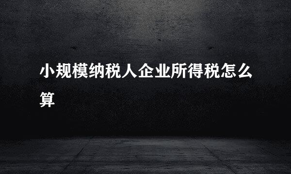 小规模纳税人企业所得税怎么算