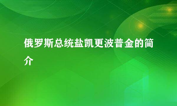 俄罗斯总统盐凯更波普金的简介