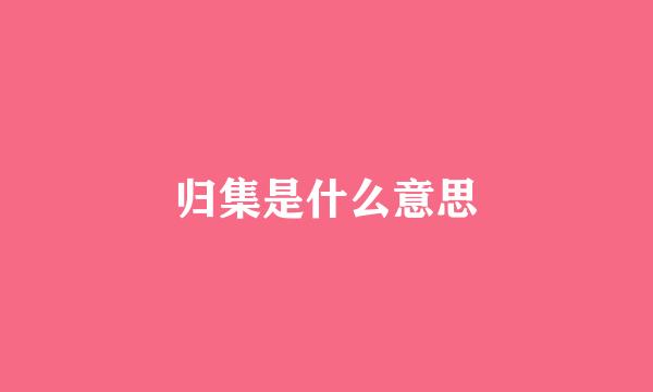 归集是什么意思